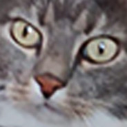 KiddCull