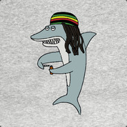 savesharks