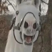 WeeeZer_Real